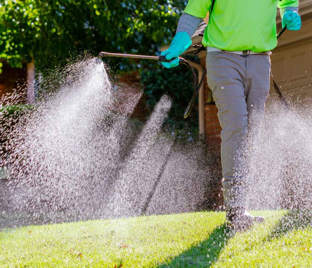 Lawn Care Birmingham AL | Mighty Green Lawn Care